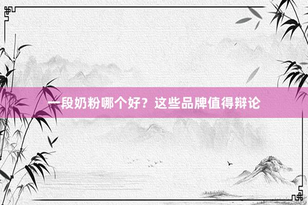 一段奶粉哪个好？这些品牌值得辩论