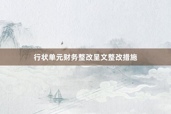 行状单元财务整改呈文整改措施