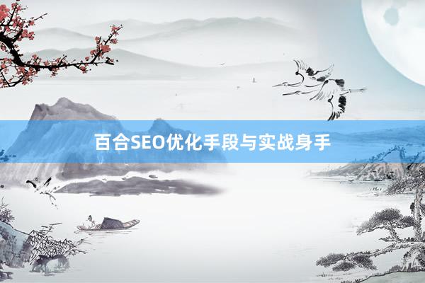 百合SEO优化手段与实战身手